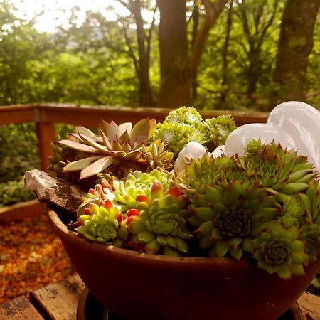 Ferienwohnung Lug Dış mekan fotoğraf